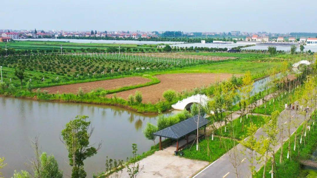 近年来,丰泽园生态农业园以科普教育,美丽乡村建设,乡村振兴等内容为