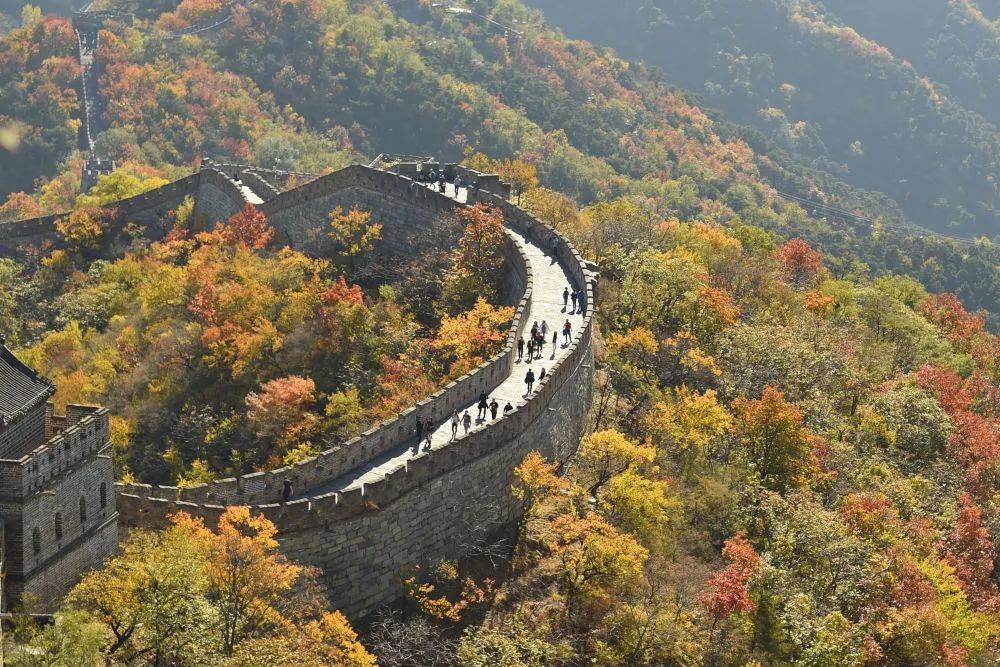 西北"边墙"深处,"守护长城的人家"_保护_盐池县_图像