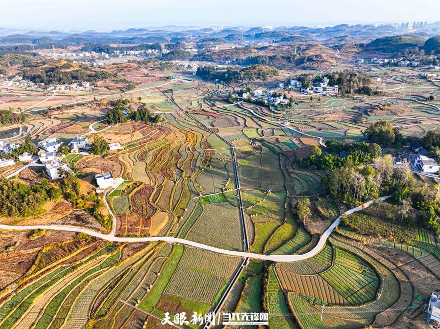 【天眼影像】黔西雨朵镇:冬日坝区无闲地 蔬菜添绿促发展_产业_标准