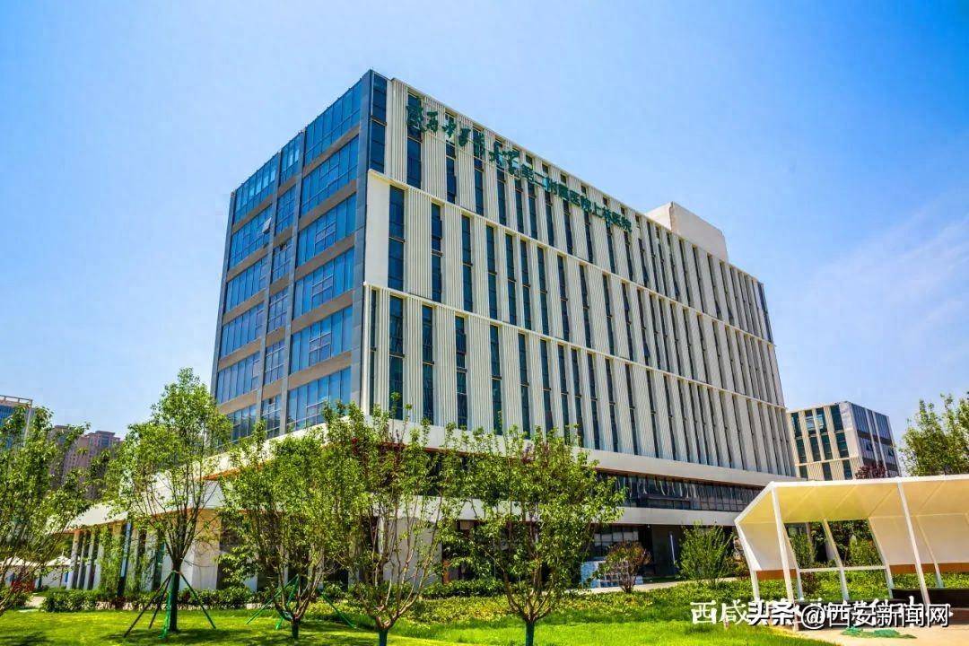 沣东新城上林街道卫生院新院大楼正式开诊_新区_中心_服务