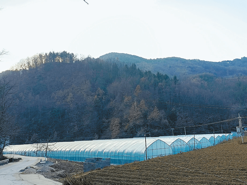 镇安县米粮镇界河村图片