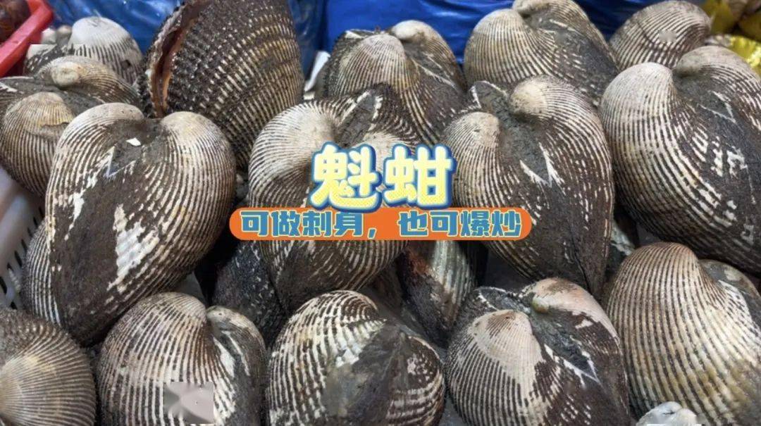 文蛤、油蛤、花蛤……这些贝类小海鲜你会分辨吗?_个头_温州_花甲