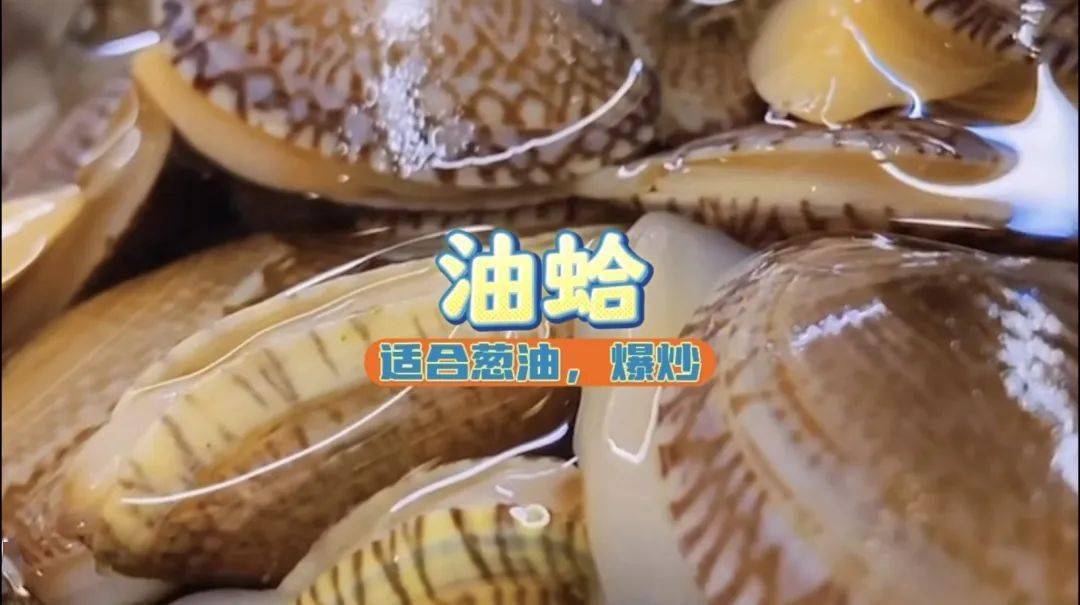 文蛤、油蛤、花蛤……这些贝类小海鲜你会分辨吗?_个头_温州_花甲