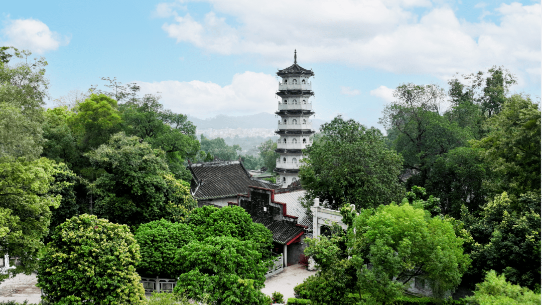 六祖故里旅遊度假區→禾泰農場→《惠能傳奇》實景表演→禪域小鎮