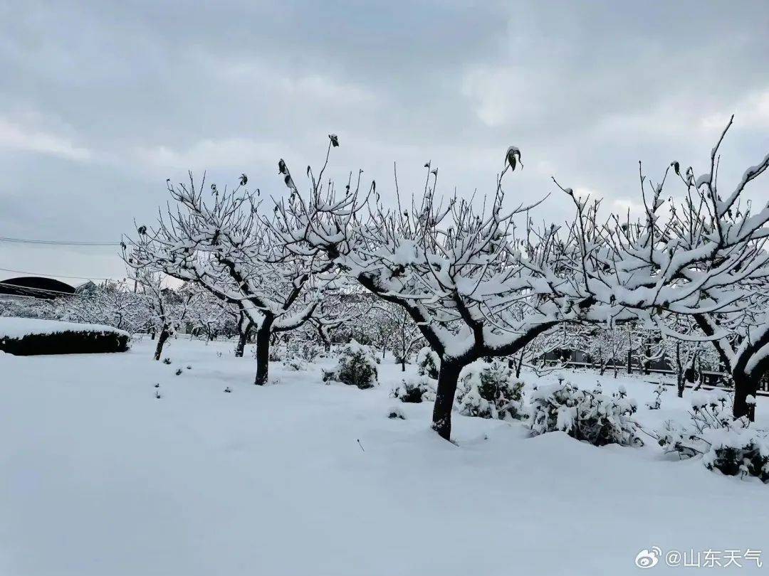 今天,青岛下雪了!