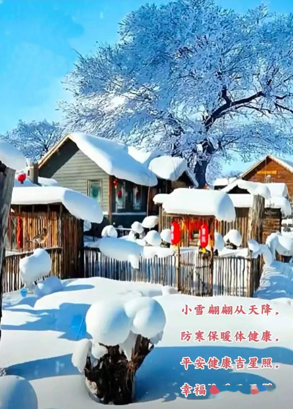 下雪早晨问候图片图片