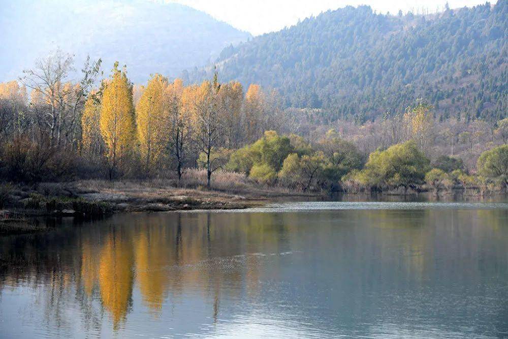 【全域旅游】山东省枣庄市山亭区:波光粼粼 风景如画_水间_周村水库