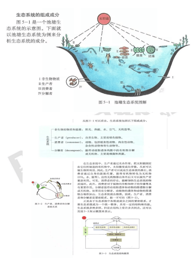 教資面試試講逐字稿 | 初高中生物篇_病毒_生活_教學