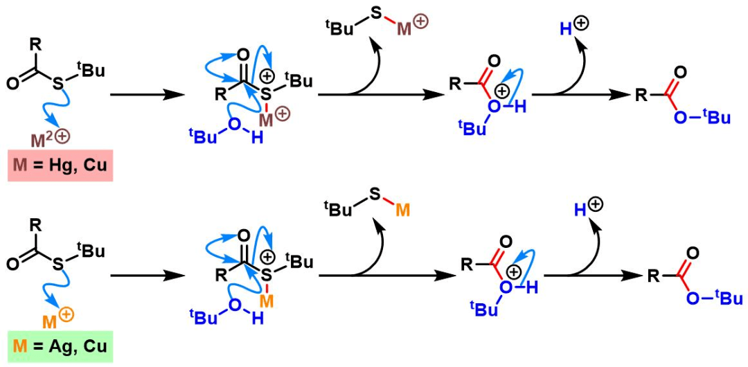 masamune酯化反應_chem_doi_soc