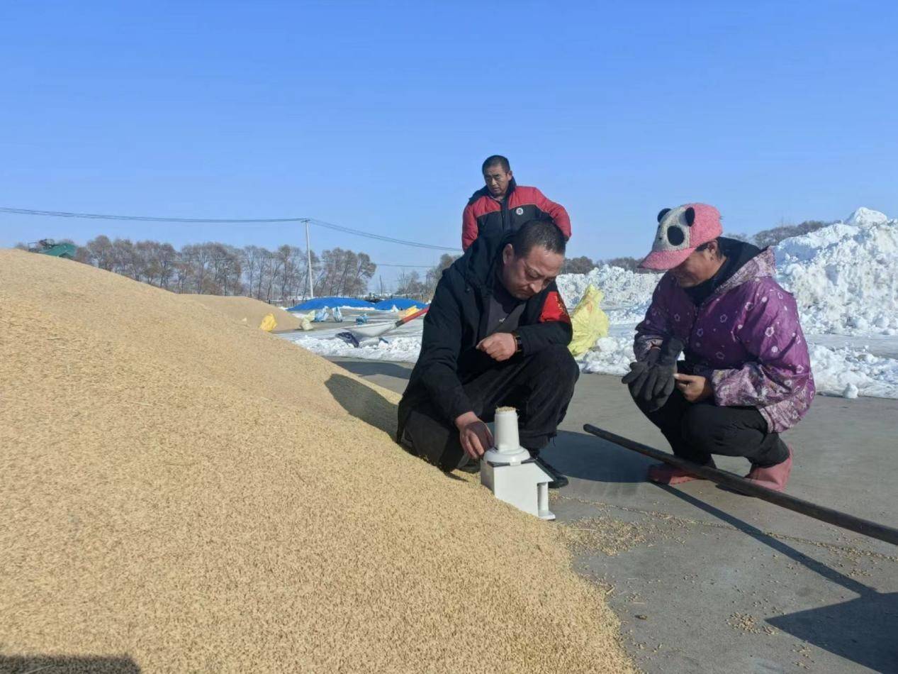 五九七农场老照片图片