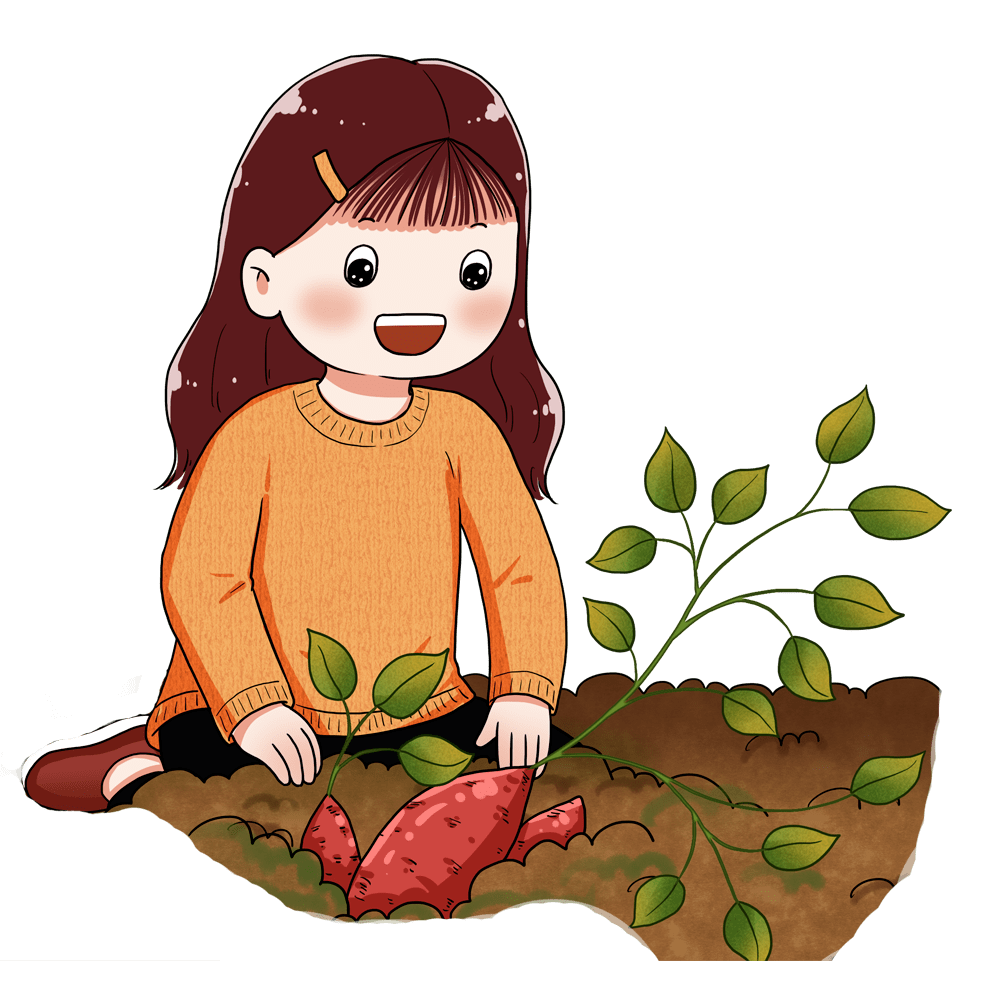 稻田茶地,"丰"景正好,"薯"于你我