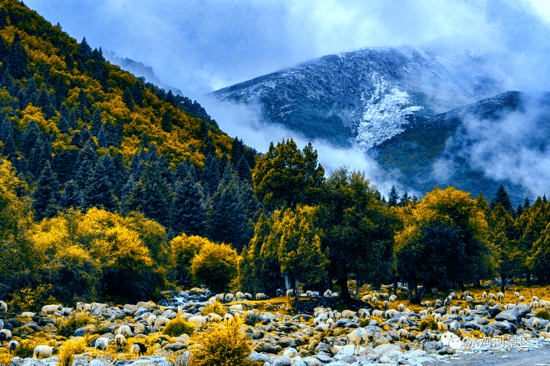 甘肅超治癒的風景目的地_雪山_沙漠_黃河石林