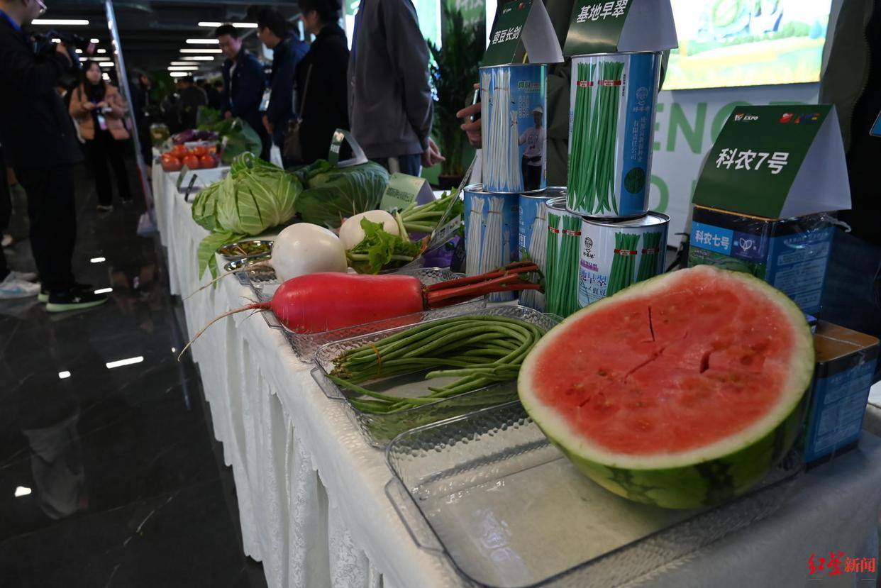 菜博会观察：蔬菜盯上“水果化”转型鲜食蔬菜为何变成新风口？(图5)