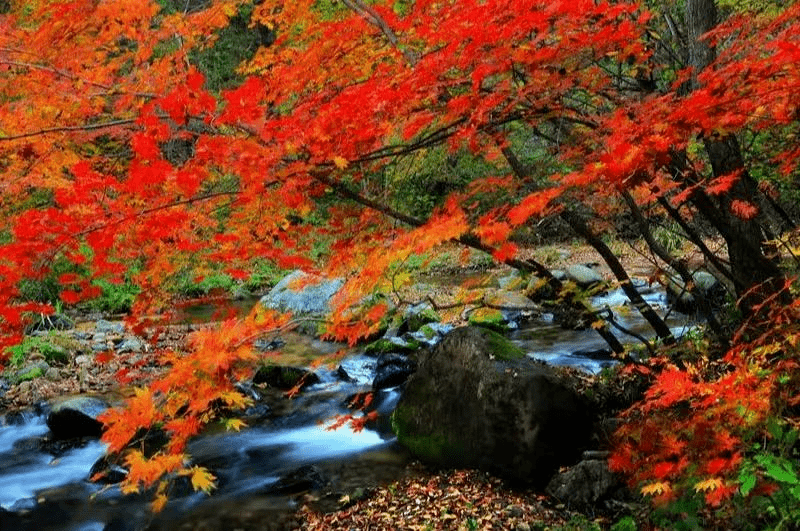 古村_楠溪江_永嘉