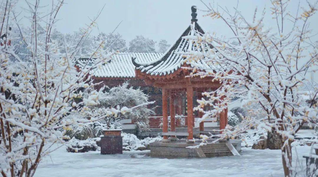 踏雪尋梅,圍爐酌酒,垂釣聽雪...冬的浪漫與雅趣都藏在這些風雪裡_冬日