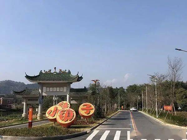 四会桔子景区是沙糖桔省级现代农业产业园三产融合示范区的主体项目