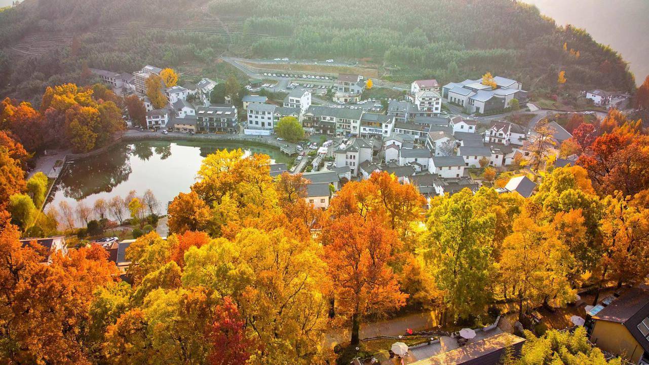 红叶指南迎客来 临安电力为乡村振兴"充电赋能"_南村_供电_游客