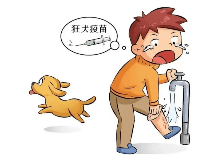 狂犬病卡通图片