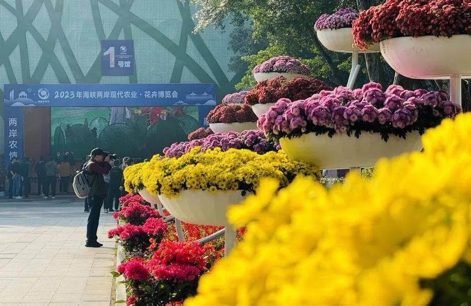 期待已久,漳州再启花的博览!_花卉_展区_产品