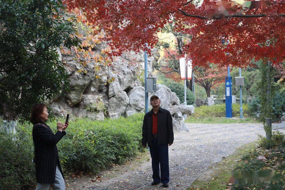 【每日隨拍】沙洲公園風景如畫_張家港_活動_工作