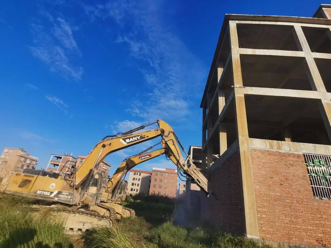 11月28日至29日,麒麟镇组织单元,线条,部门负责同志,大寮村,月屿村"