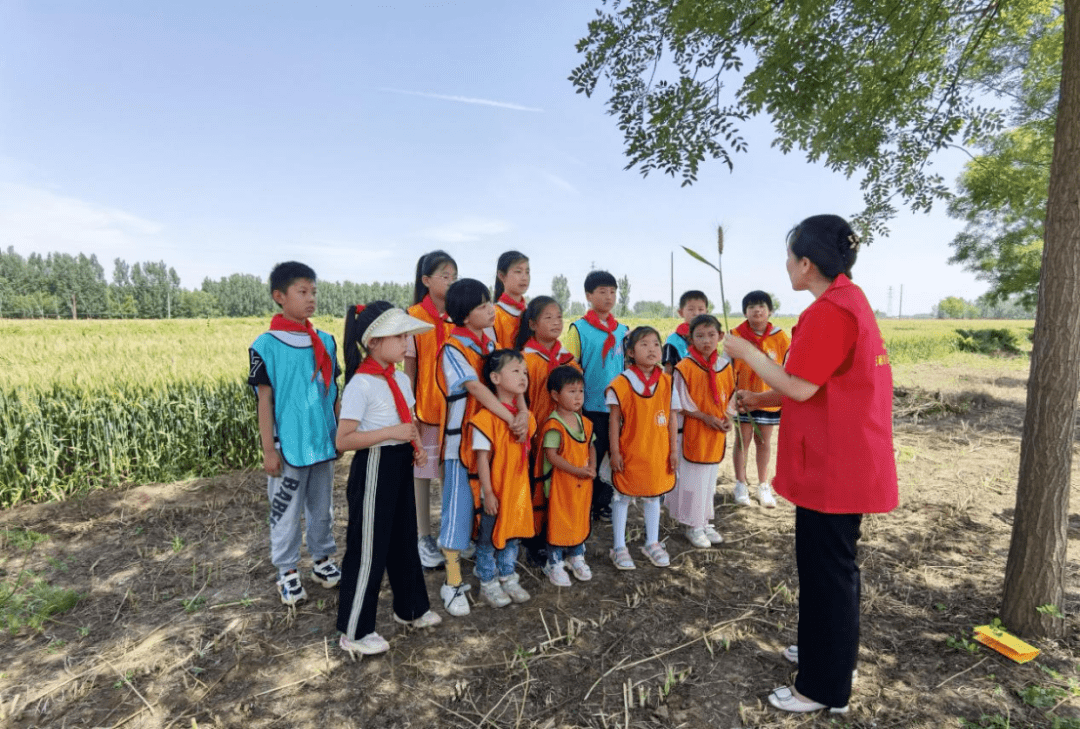 新时代文明实践所建设展示丨巨鹿县张王疃乡_活动_服务_志愿