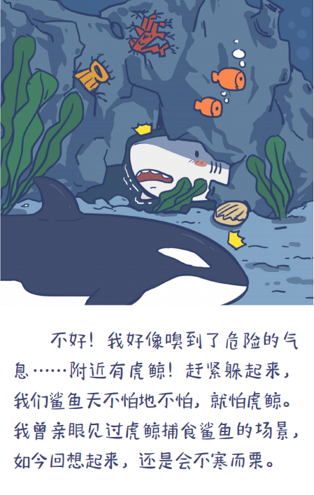 海洋多格漫画图片