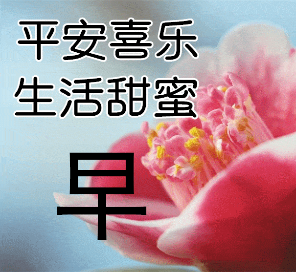 早上好动图片大全带字图片