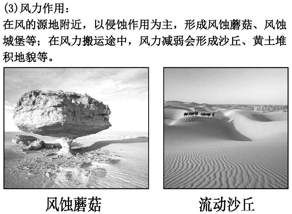 附高考地理中的海岸地貌_喀斯特_岩石_中国