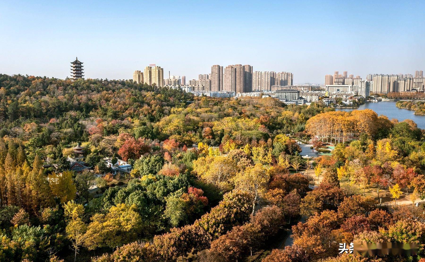 安徽蚌埠:冬日暖阳"生态画卷"_国家_城市_一手