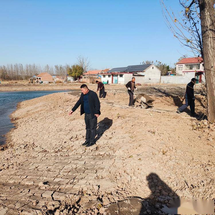 鱼台县清河镇坑塘治理显成效 人居环境再提升_工作_整治_宣传