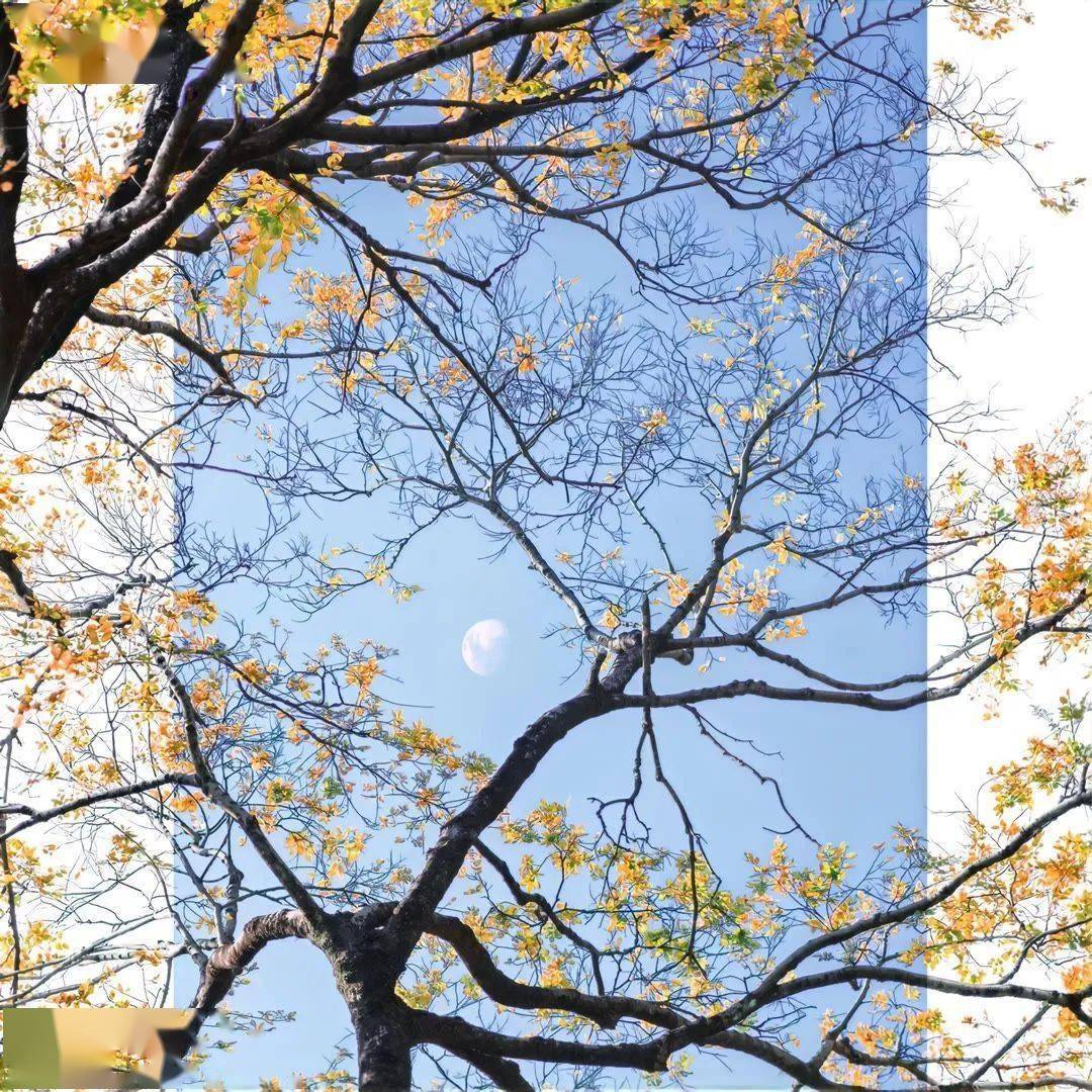 背景图 | 氛围感背景图