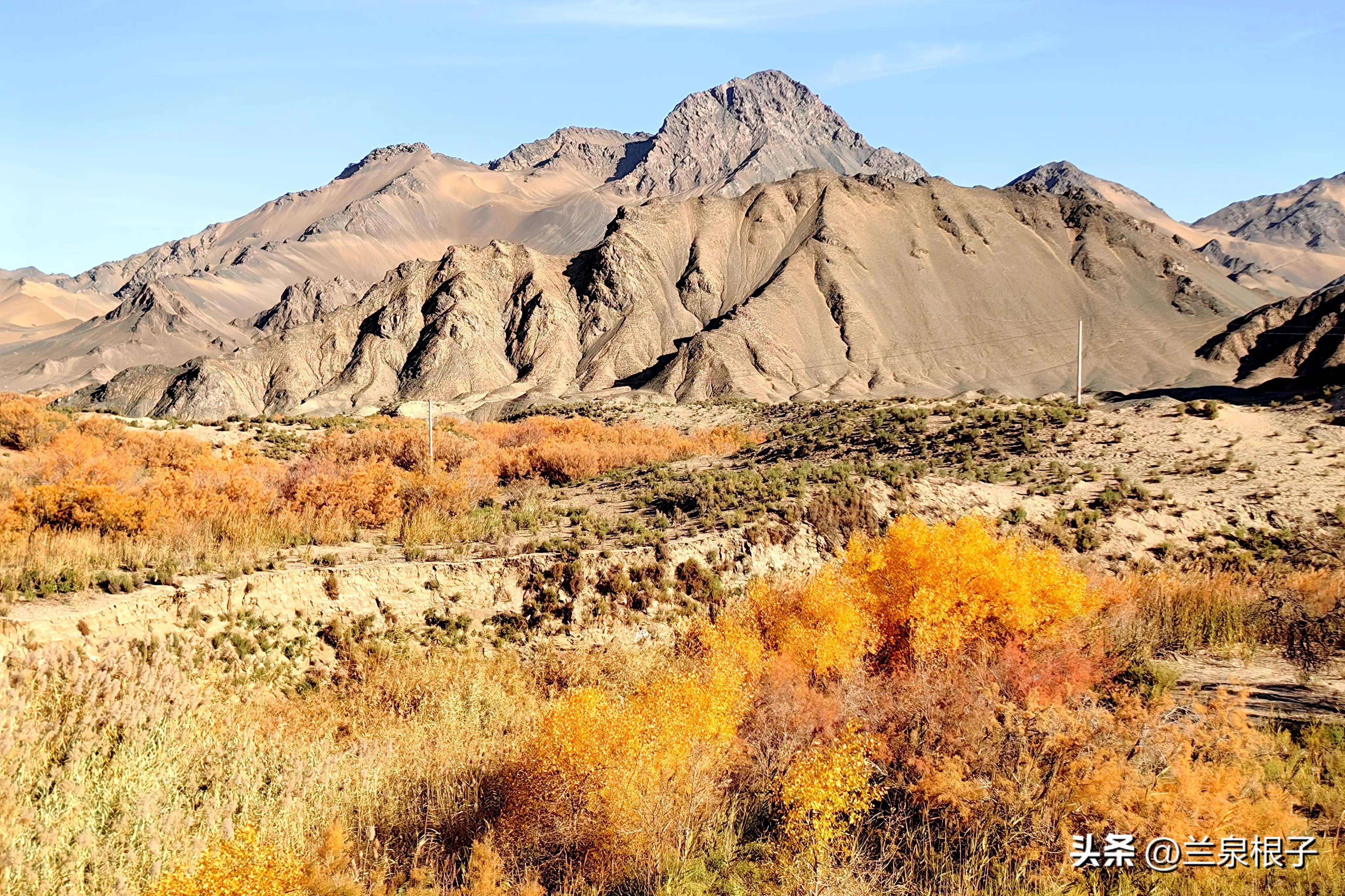 秋天的酒泉阿克塞多坝沟胡杨峡景区原生态风景美如画卷