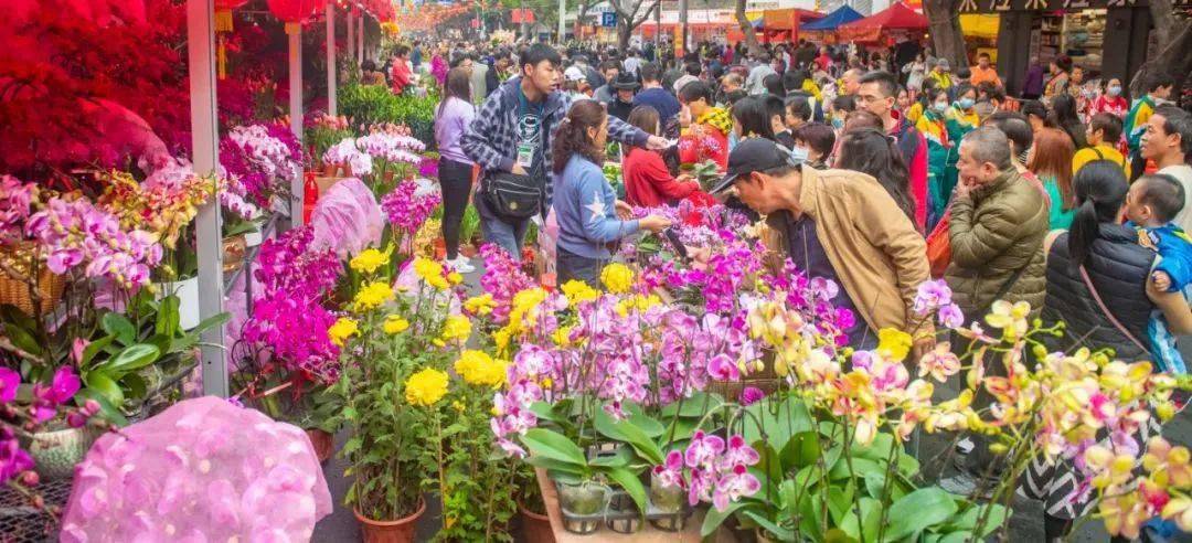 广州迎春花市地点时间公布