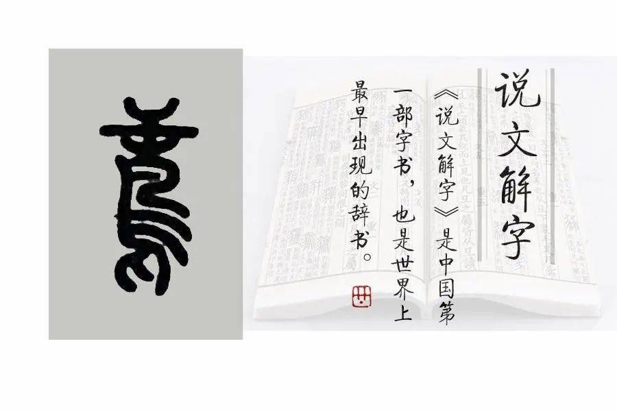 读xián,《说文解字》给出的解释是:"鹇,鸱也.