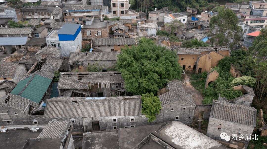 乐民镇士子村:历史的印记,铜鼓的回音_村庄_故事_地主