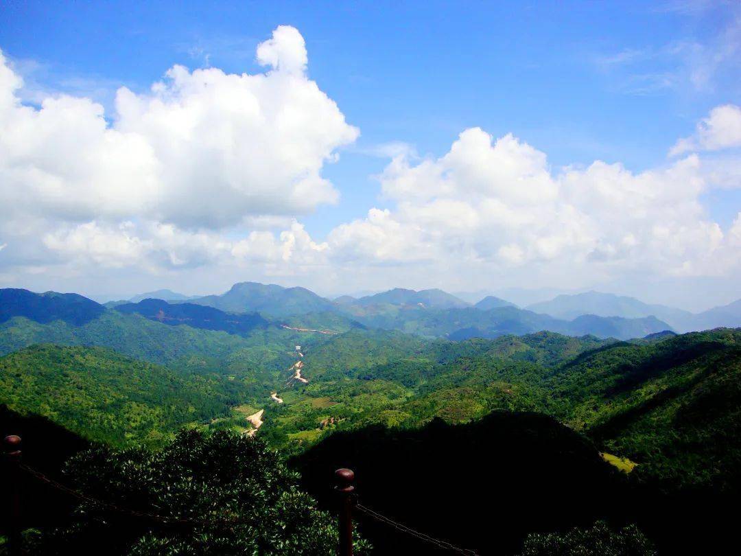 2023华安土楼马拉松赛"拍了拍"你~沿途美景一键get!_秋千_景区_文化
