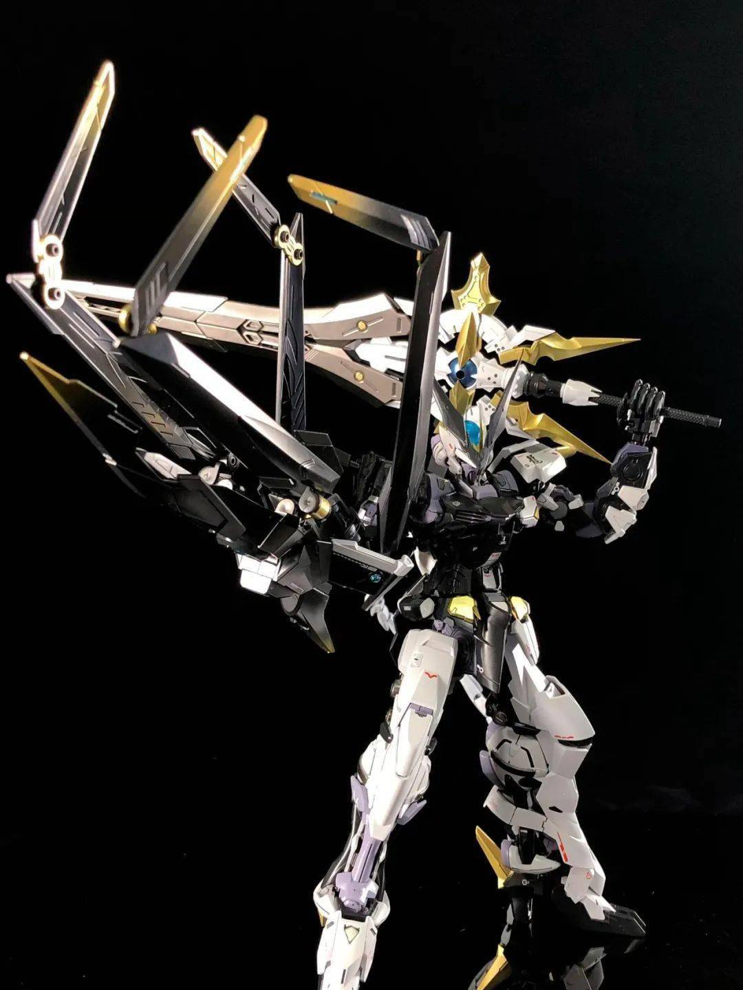 mg君王异端-无名,异端混合改造分享_公众_形态_进行