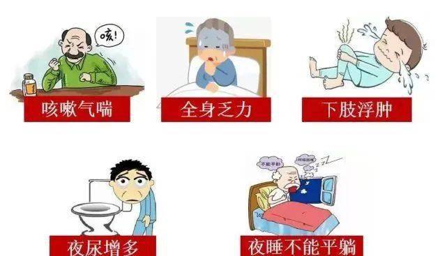教你如何预防心衰的发生