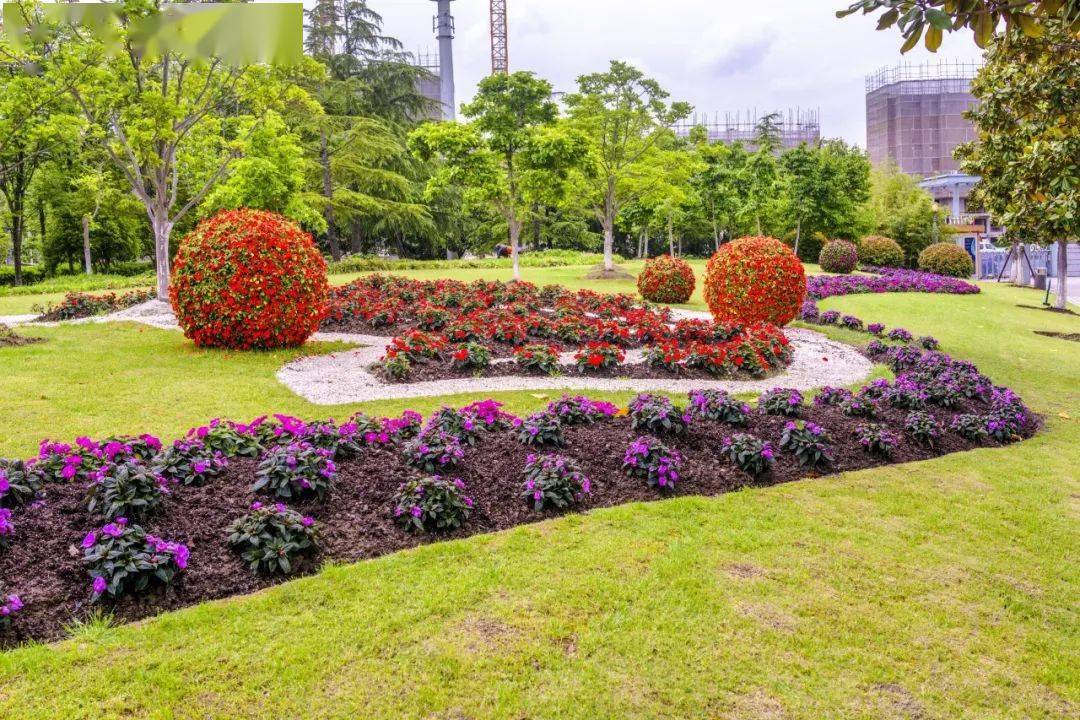 清丽之径岭南公园—繁花似锦黄兴公园—对称式自然花境静安中环公园