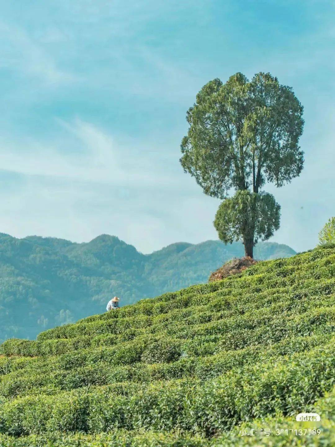 安康祝福图片合集【十】本文为安康旅游综合整理,相关转载内容只为