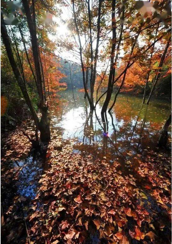 柔情富宁 休闲壮乡