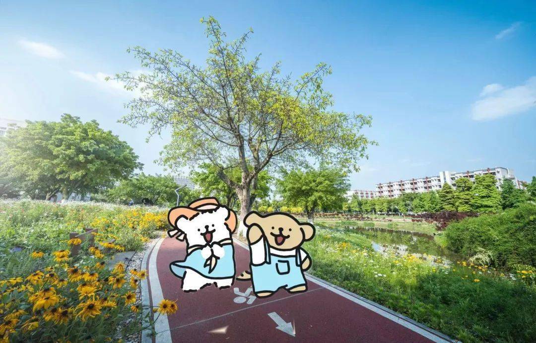 散步搭子给生活添彩吧一起寻找志同道合的搭子让我们一起分享画画