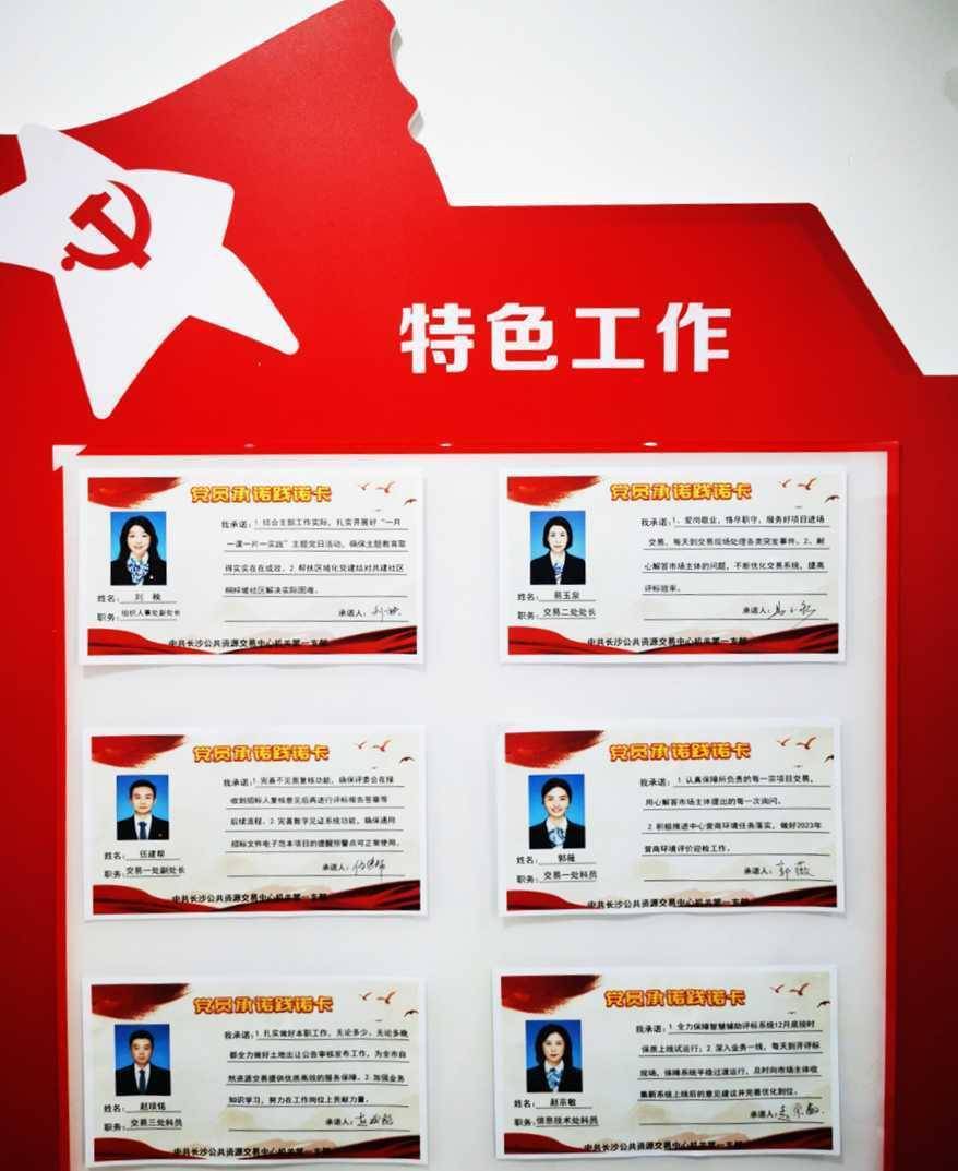 党员公示牌承诺内容图片