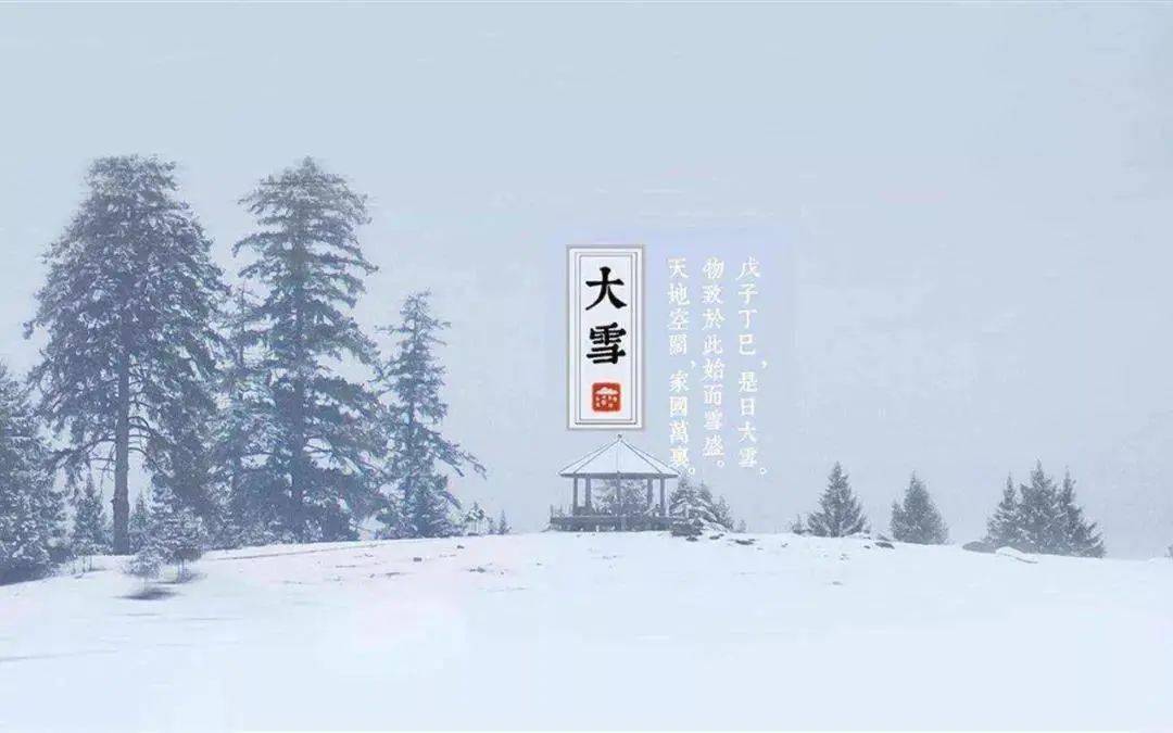 今日大雪,雪盛鹅毛飘,祝君安暖好