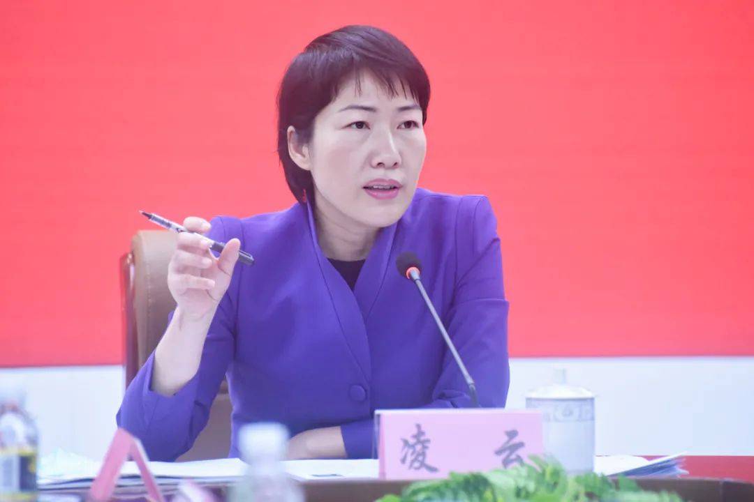 副厅级县委书记凌云,被查_海口_屯昌_龙华区委