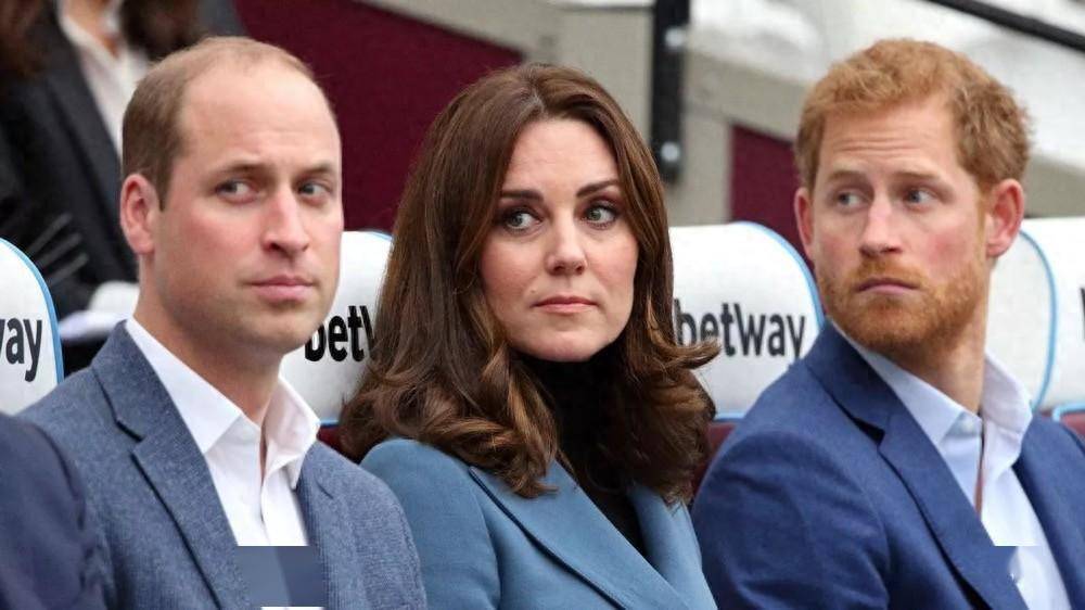 威廉王子宣布与哈里王子绝交,对凯特王妃卷入王室争议感到愤怒_名字