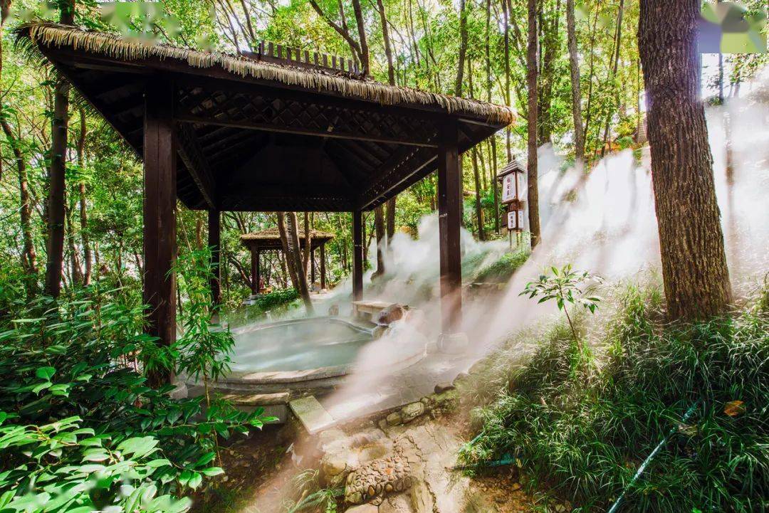 魅力慈利,乐在万福|大型演出即将开演!_温泉_景区_张家界