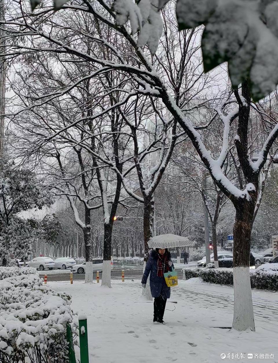 济南下雪啦，整个城市银装素裹