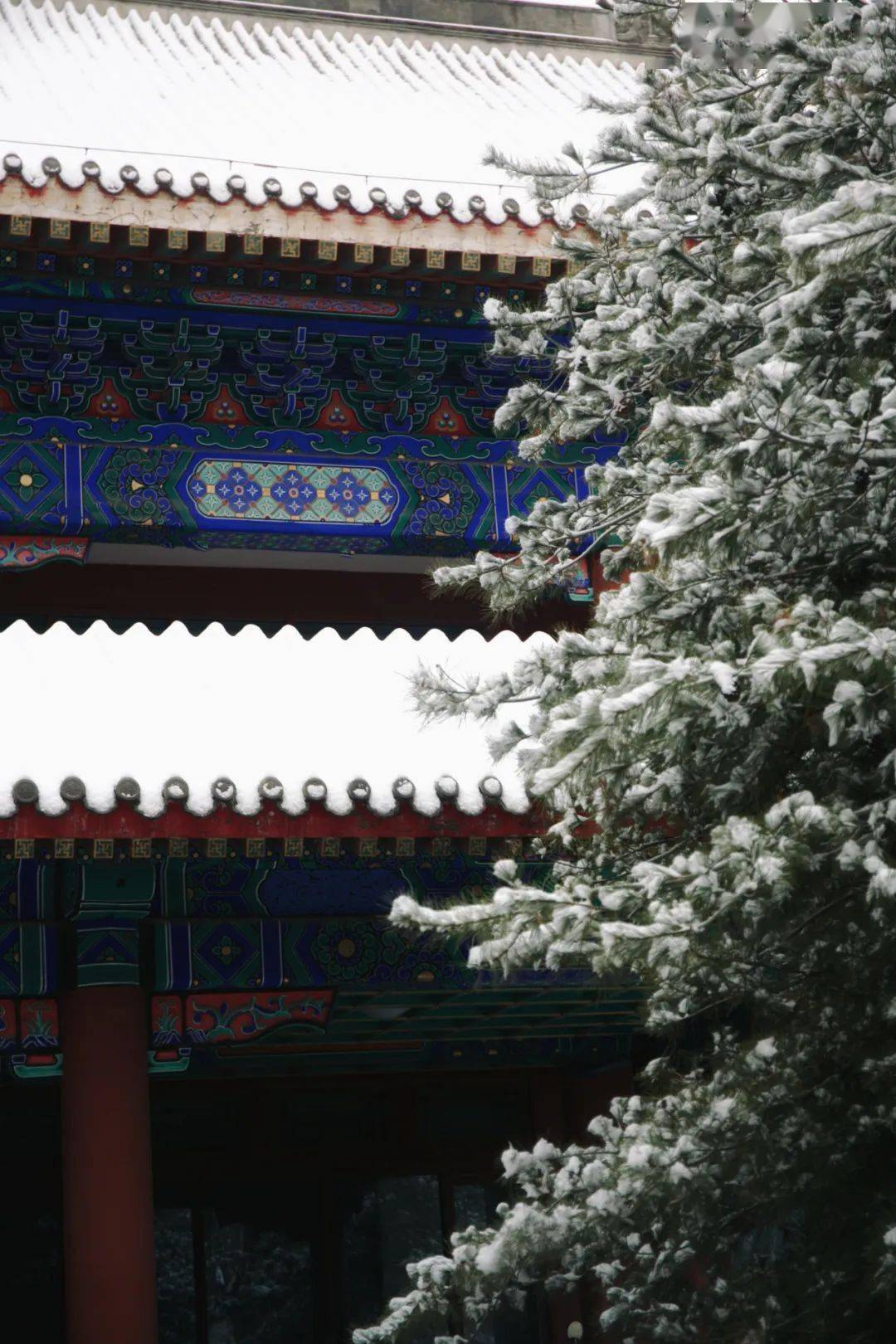 北大_星空_秦昊